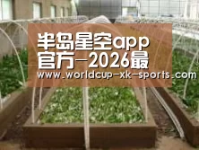 环境展示五