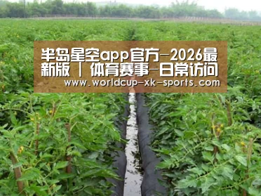 种植基地三